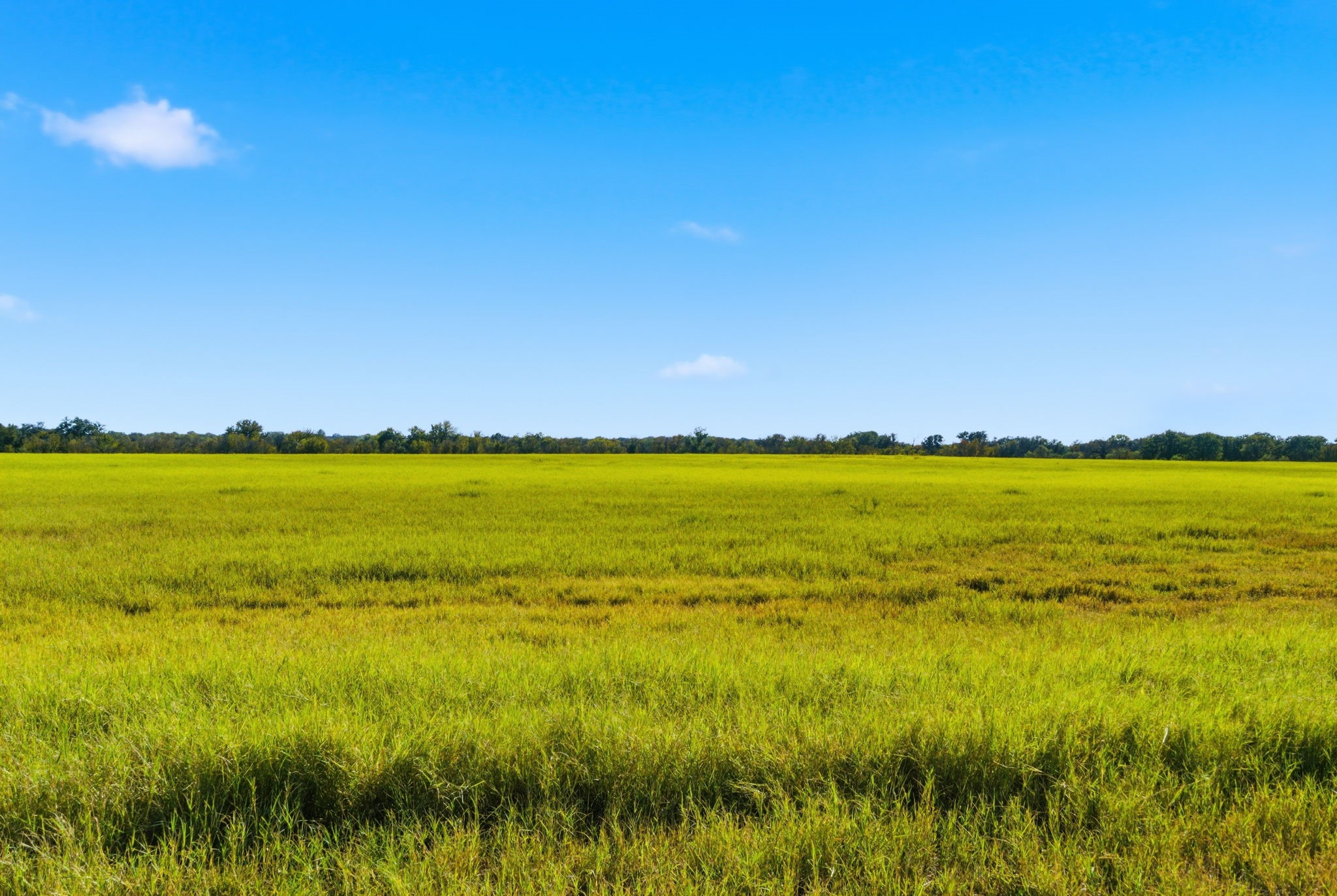 15200 Choice Acres Court Lipan TX 76462