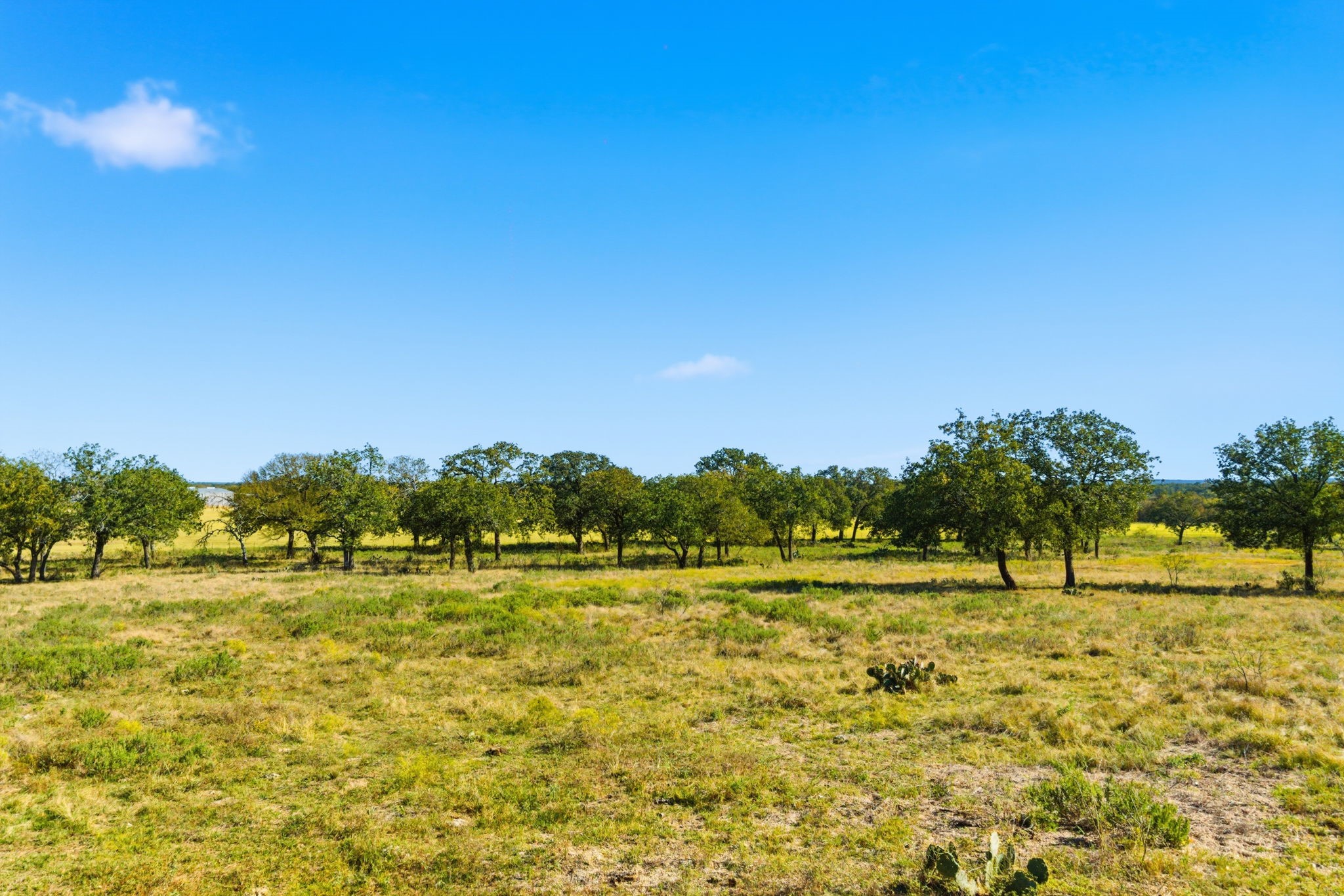 15200 Choice Acres Court Lipan TX 76462