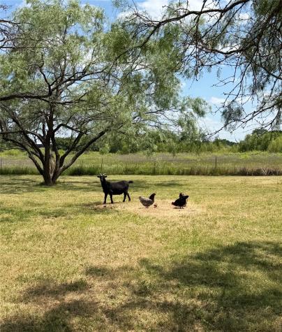 5476 County Road 2646 Royse City TX 75189
