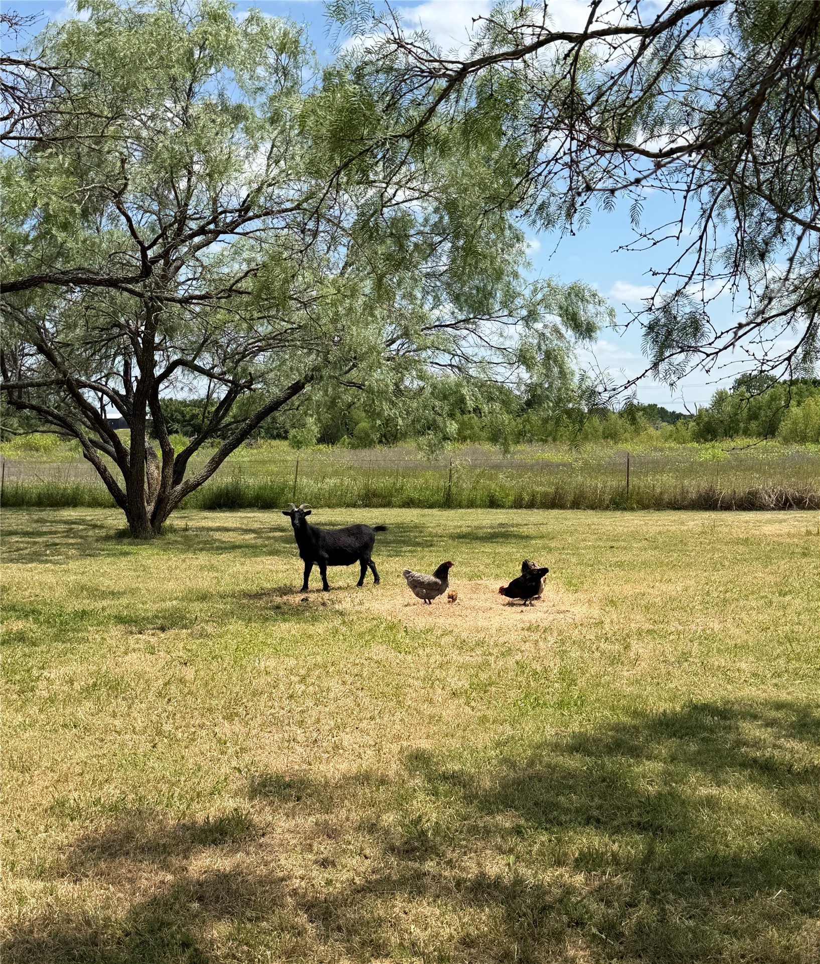 5476 County Road 2646 Royse City TX 75189