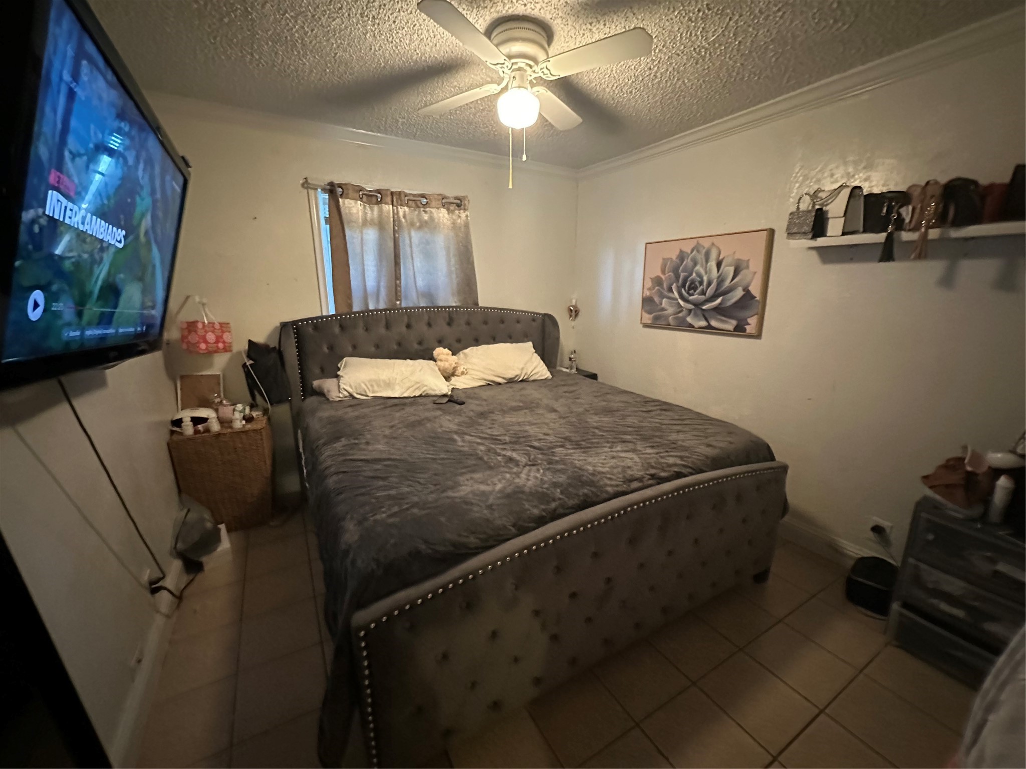 2133 Greenway Street Arlington TX 76010