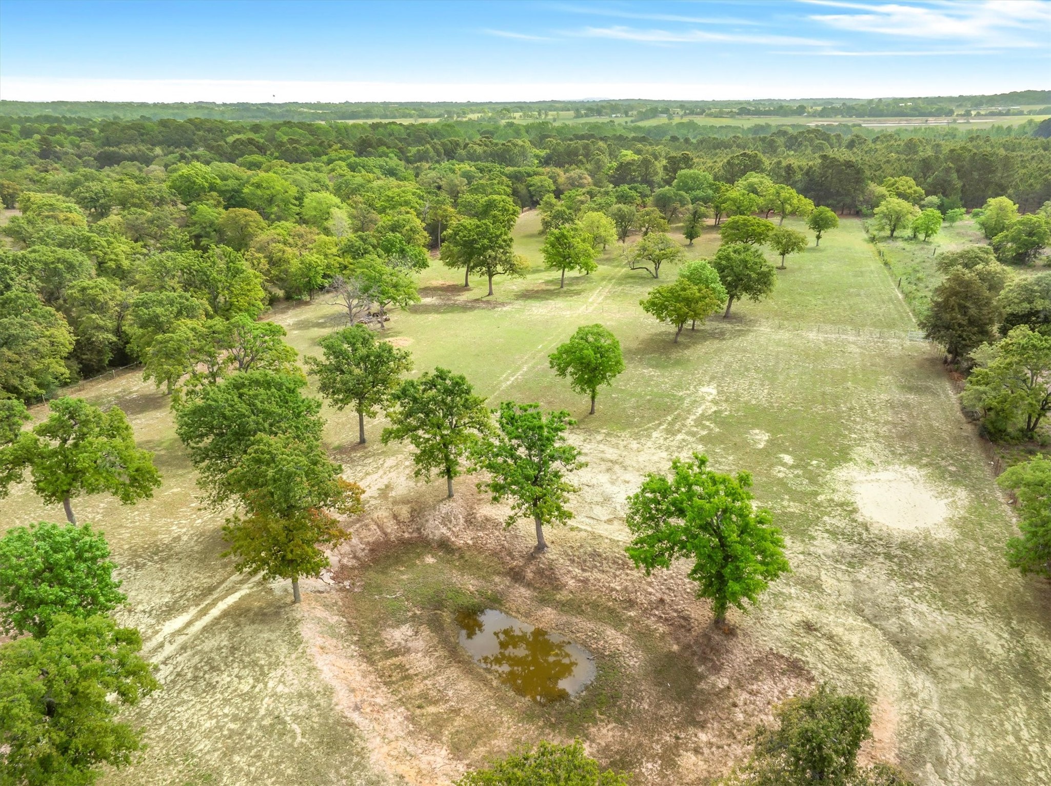 7700 County Road 3700 Athens TX 75752
