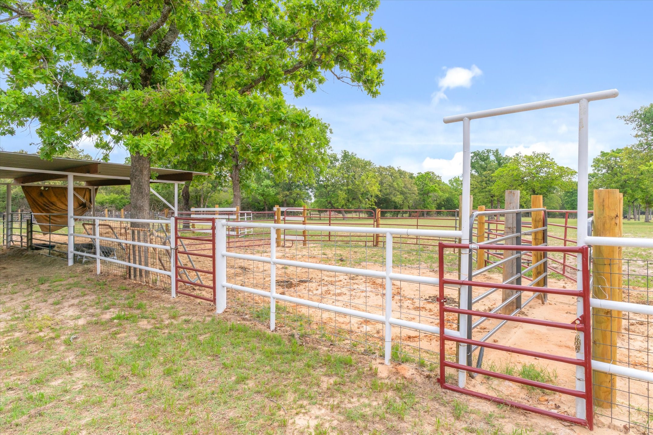 7700 County Road 3700 Athens TX 75752