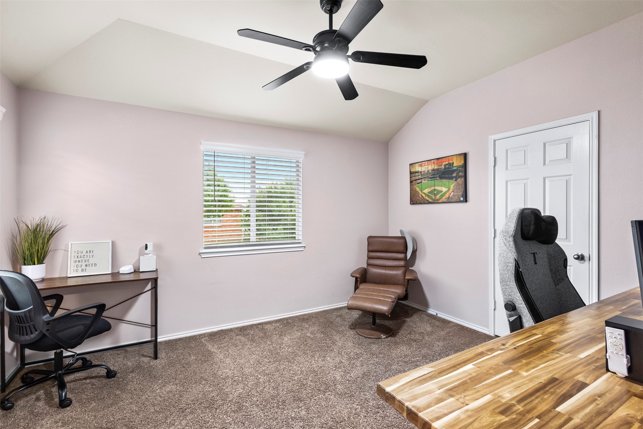224 Rawhide Street Waxahachie TX 75165