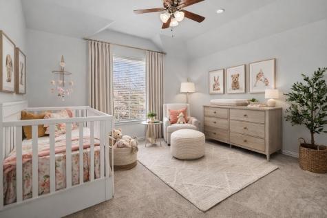 11108 Premier Drive Frisco TX 75033