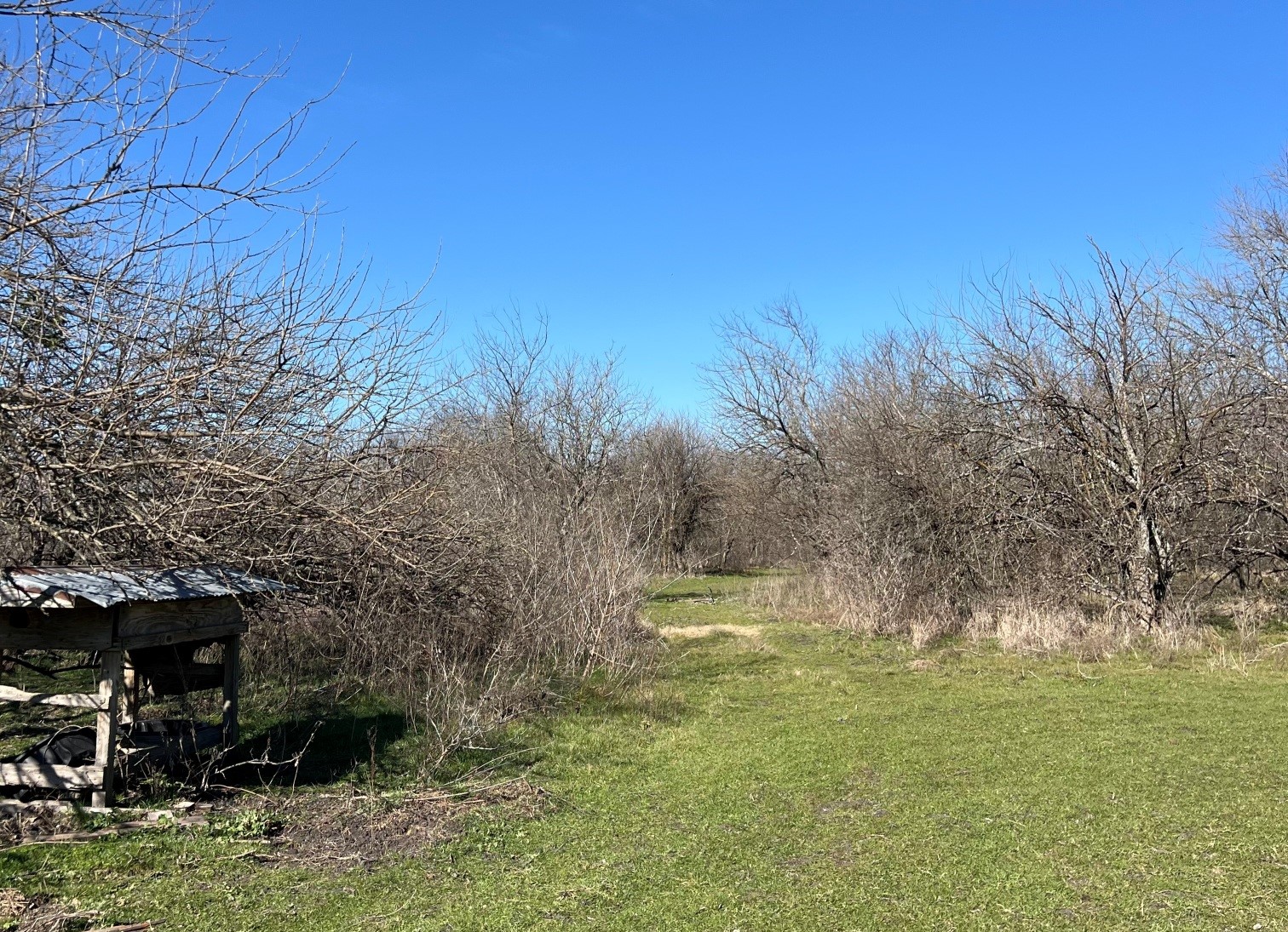 9595 County Road 262 Crandall TX 75114