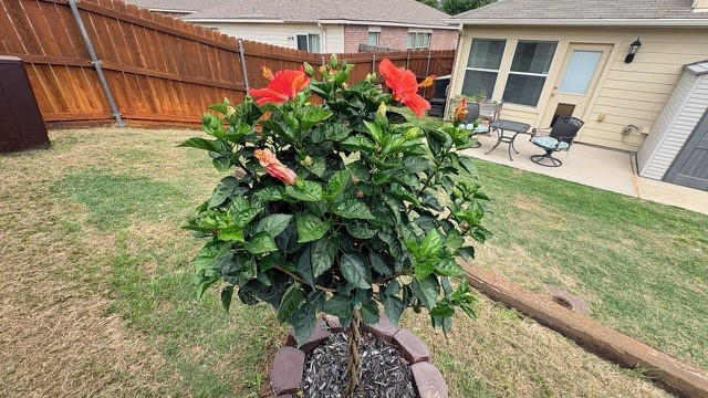 4140 Silverwood Trail Fort Worth TX 76244