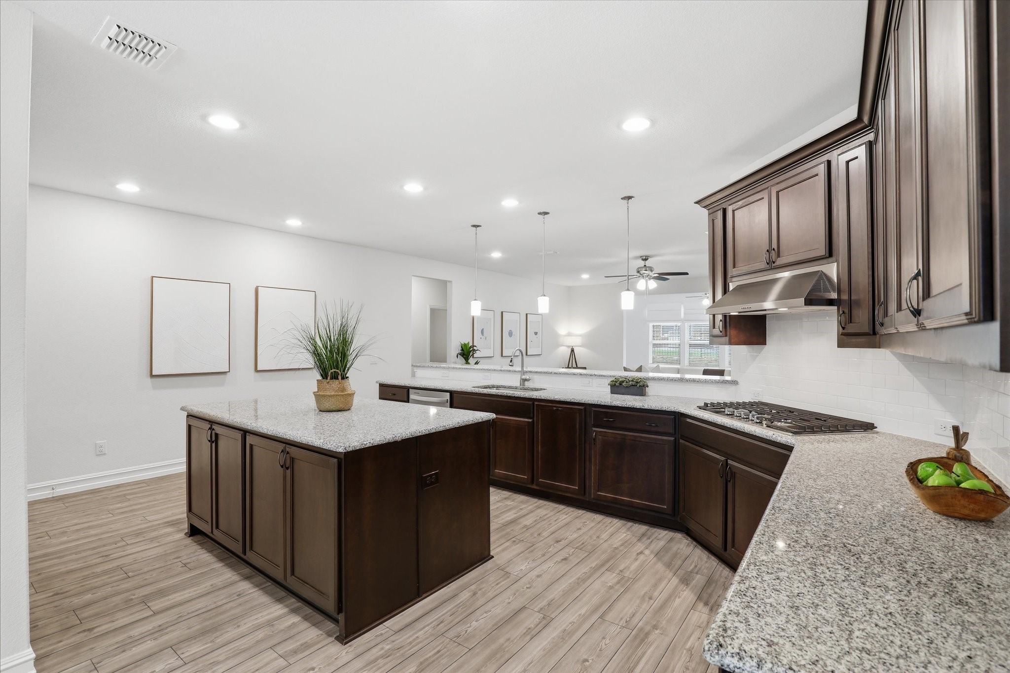 1112 Cornerstone Drive Little Elm TX 76227