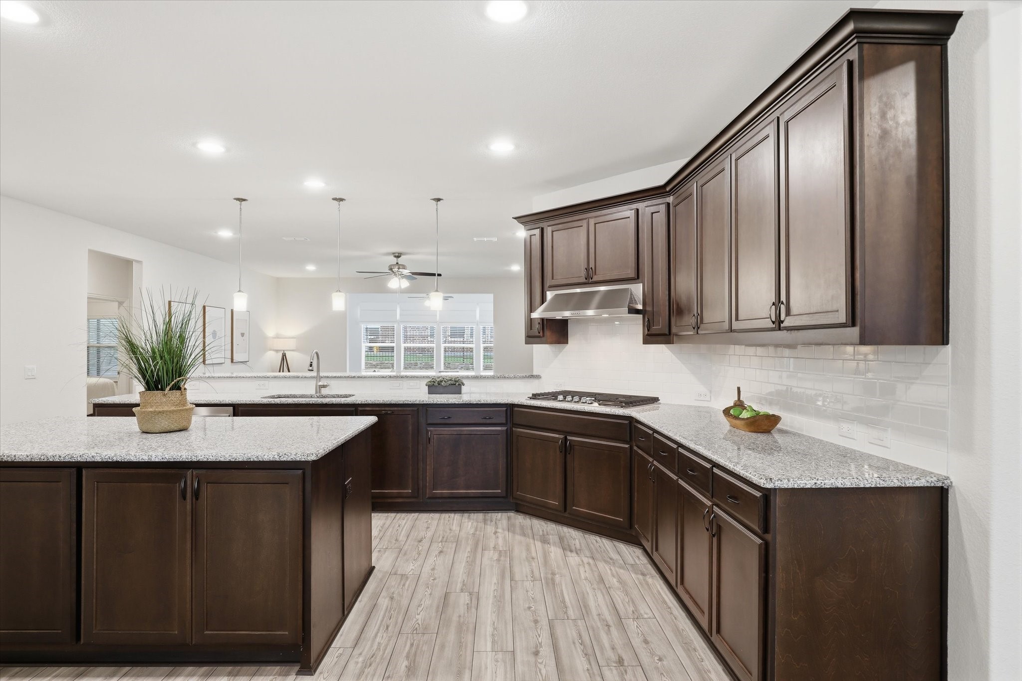 1112 Cornerstone Drive Little Elm TX 76227