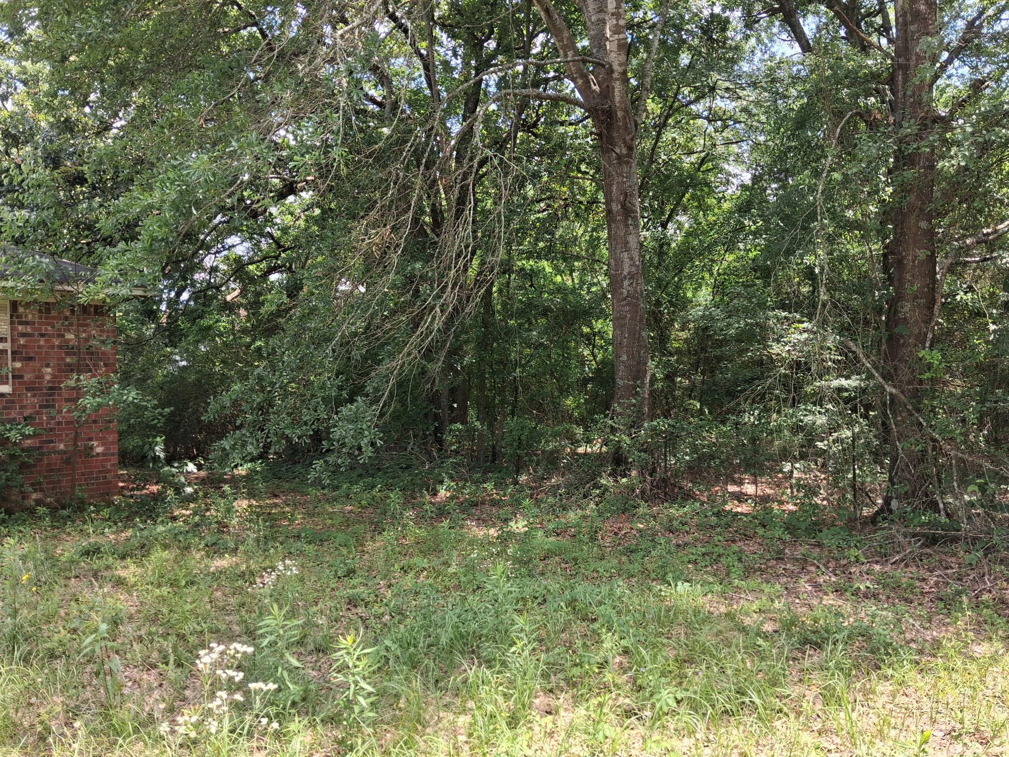 18995 Cr-1102 Flint TX 75762