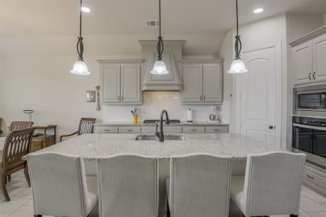 134 Water Garden Drive Waxahachie TX 75165