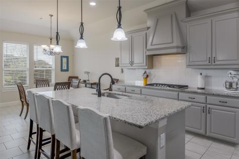 134 Water Garden Drive Waxahachie TX 75165