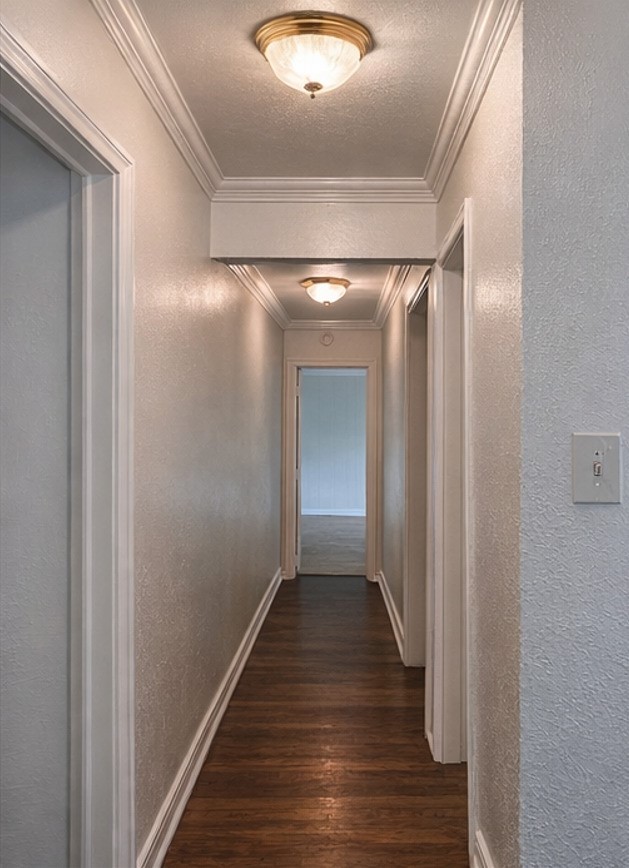 12904 Windfall Circle Dallas TX 75253