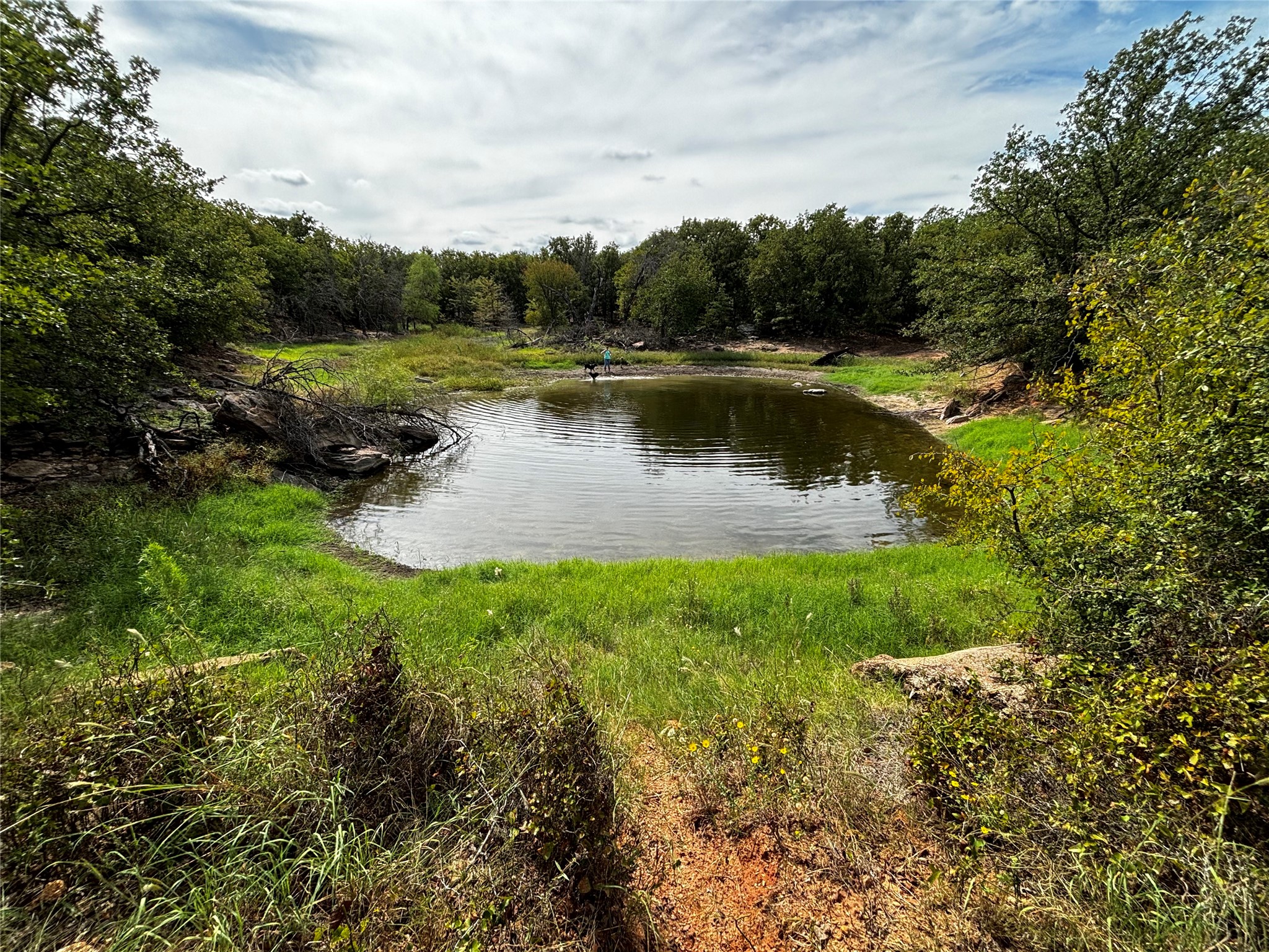 316 County Road 458 De Leon TX 76444