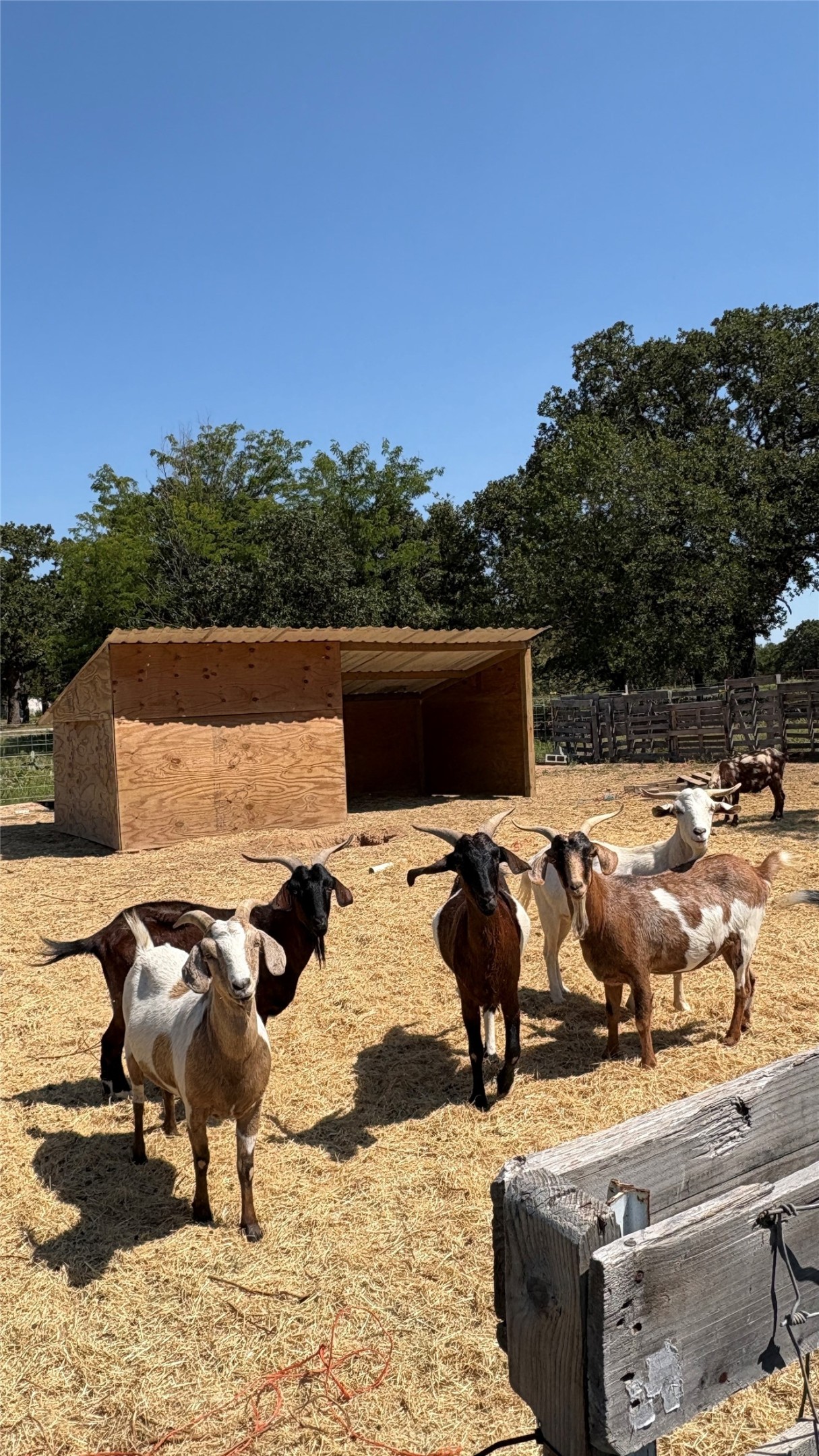316 County Road 458 De Leon TX 76444