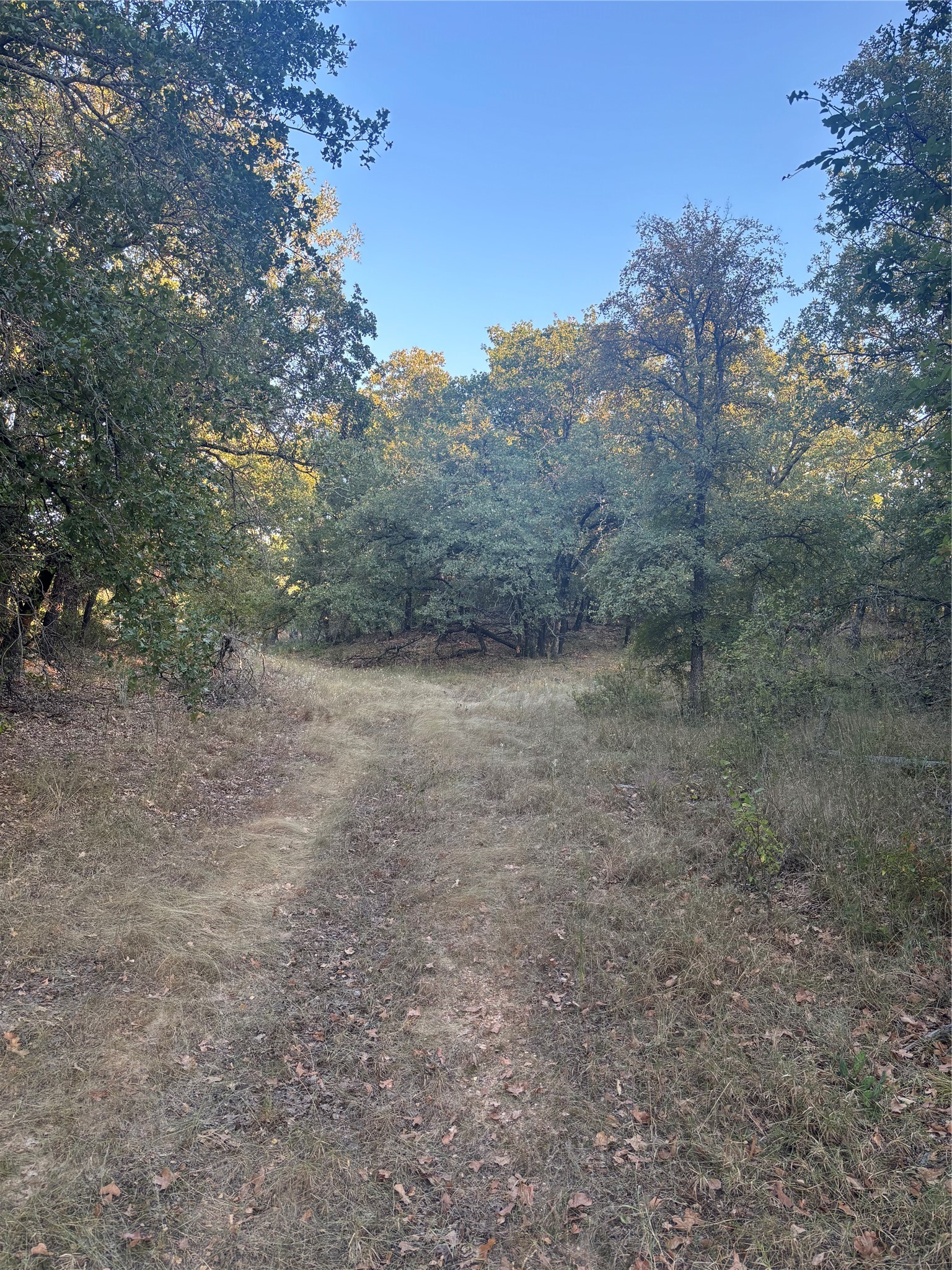 316 County Road 458 De Leon TX 76444