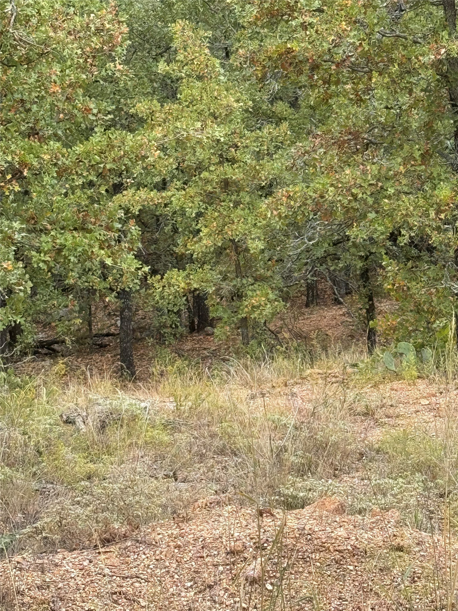 316 County Road 458 De Leon TX 76444