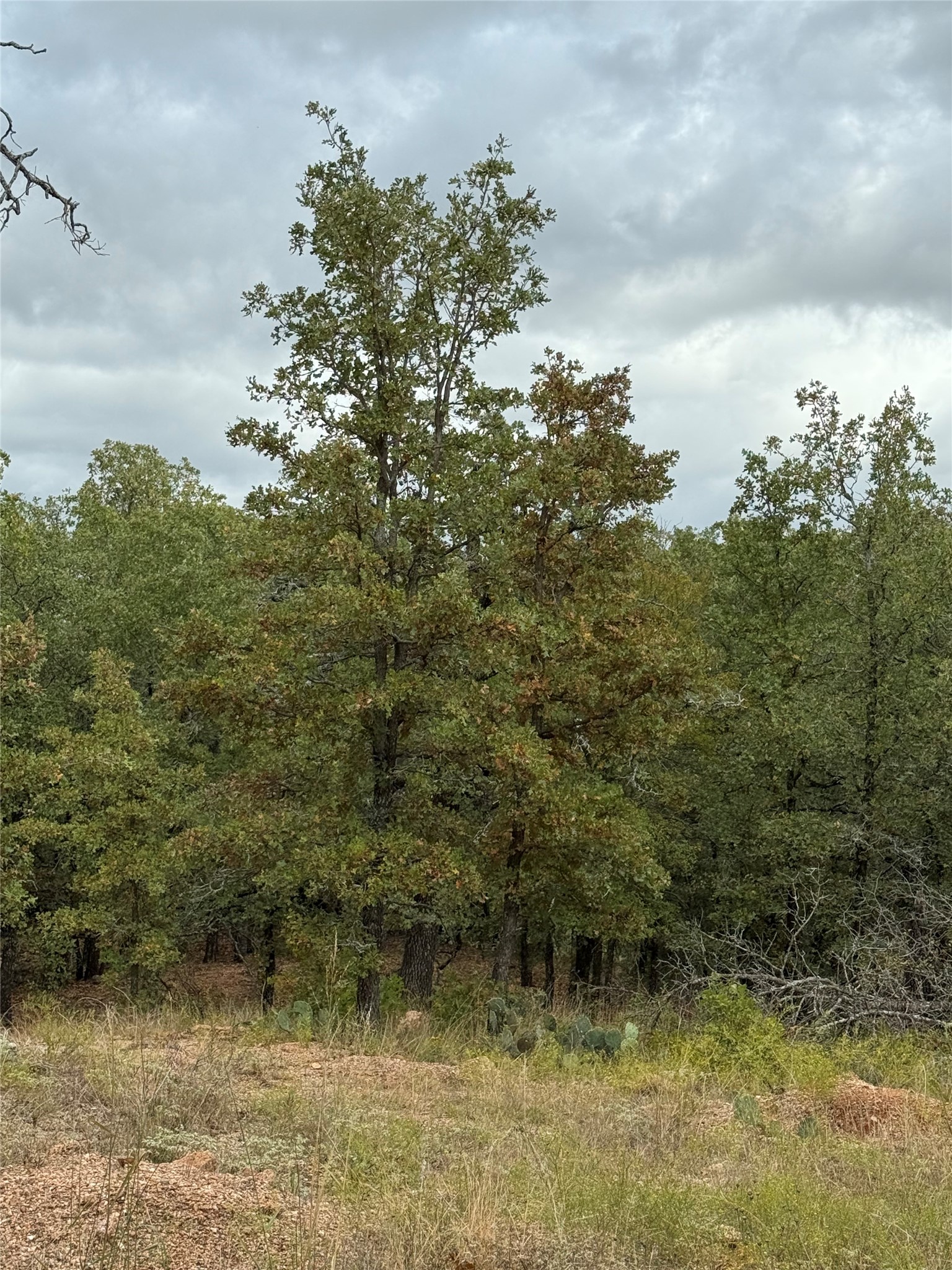 316 County Road 458 De Leon TX 76444