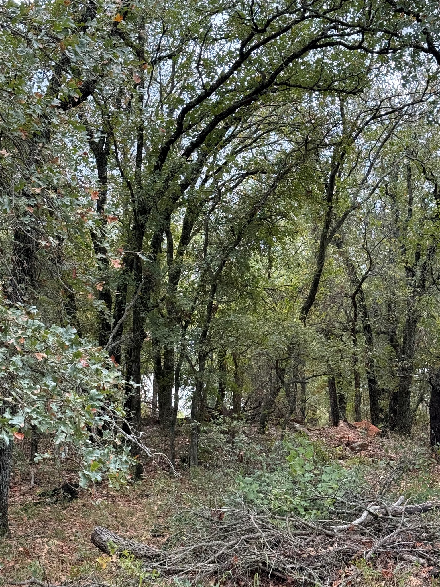 316 County Road 458 De Leon TX 76444