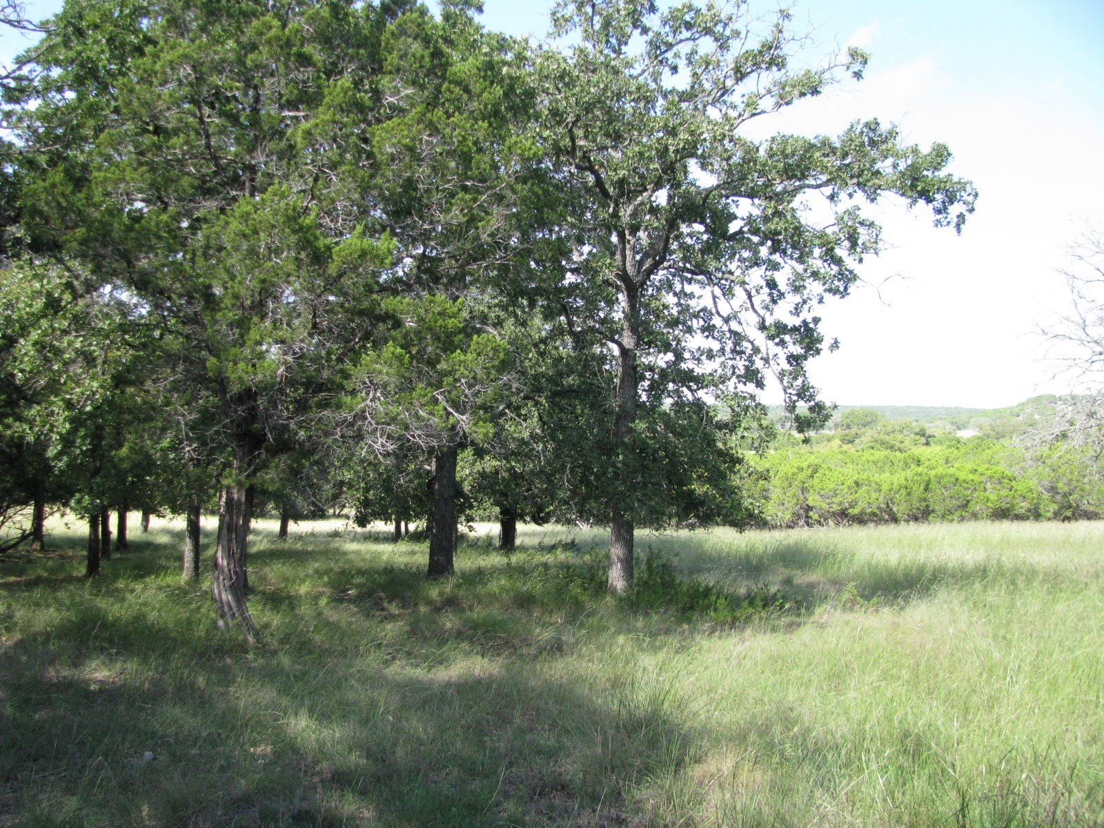 4463 County Road 158 Evant TX 76525