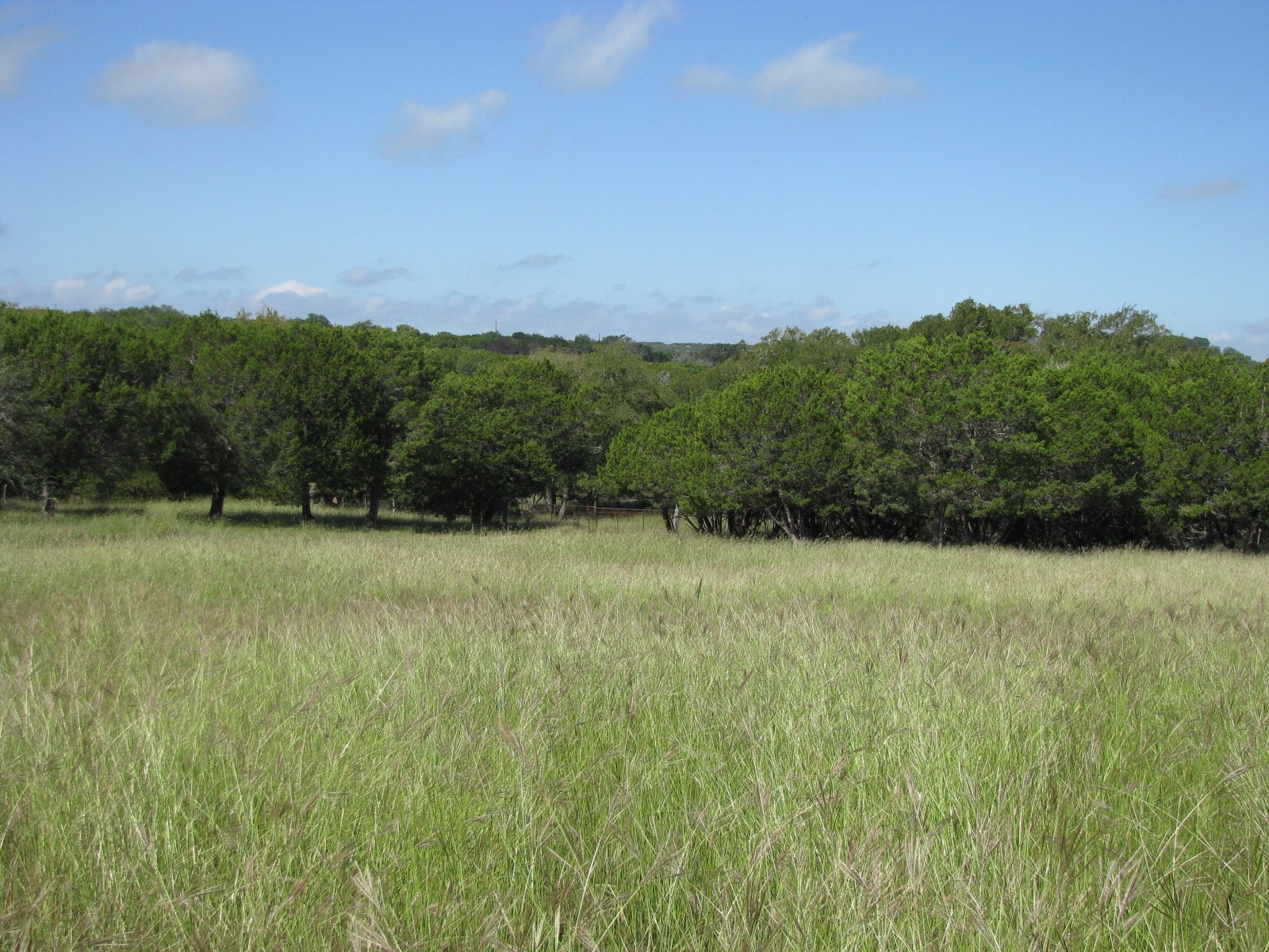 4463 County Road 158 Evant TX 76525