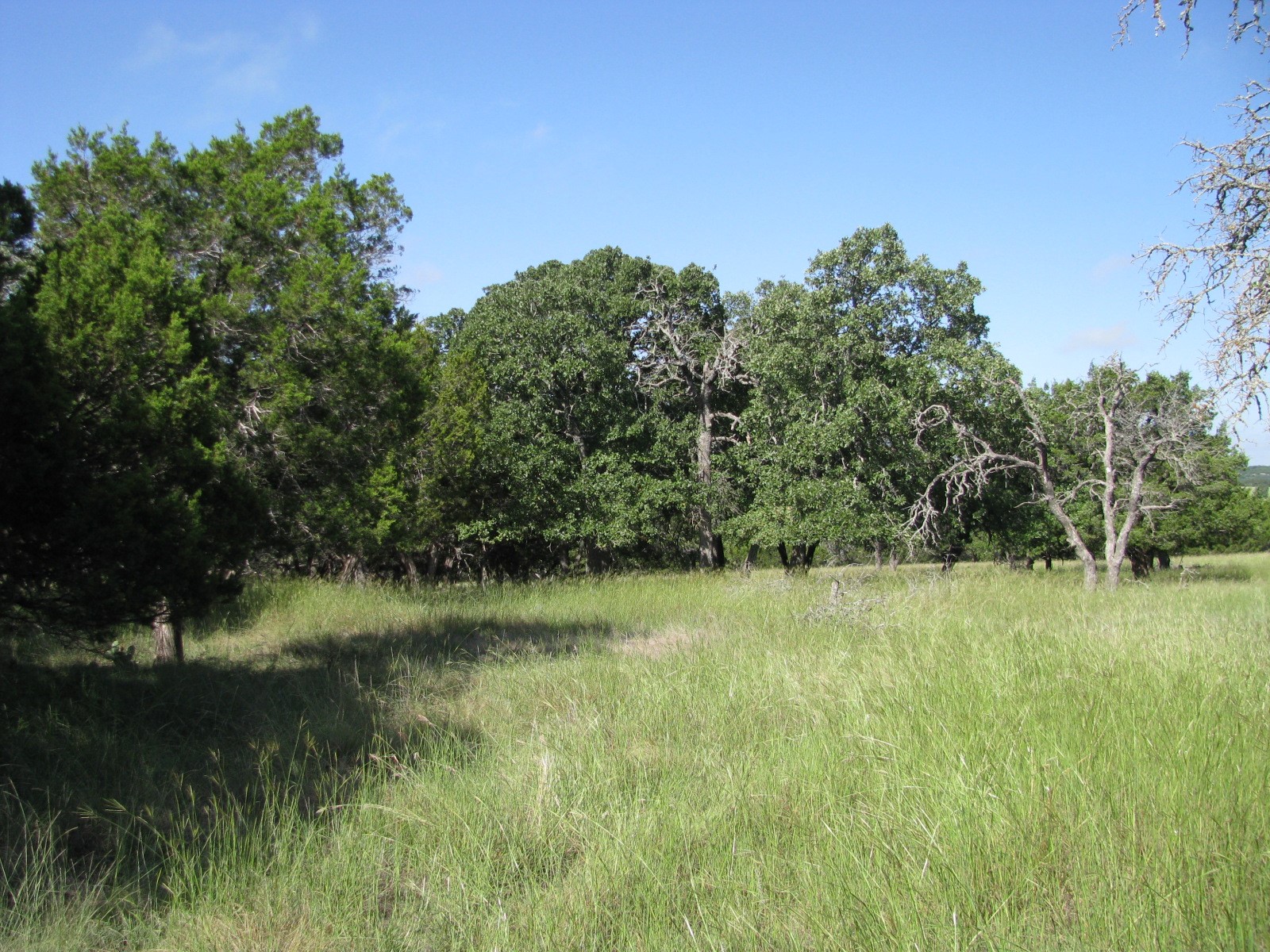 4463 County Road 158 Evant TX 76525