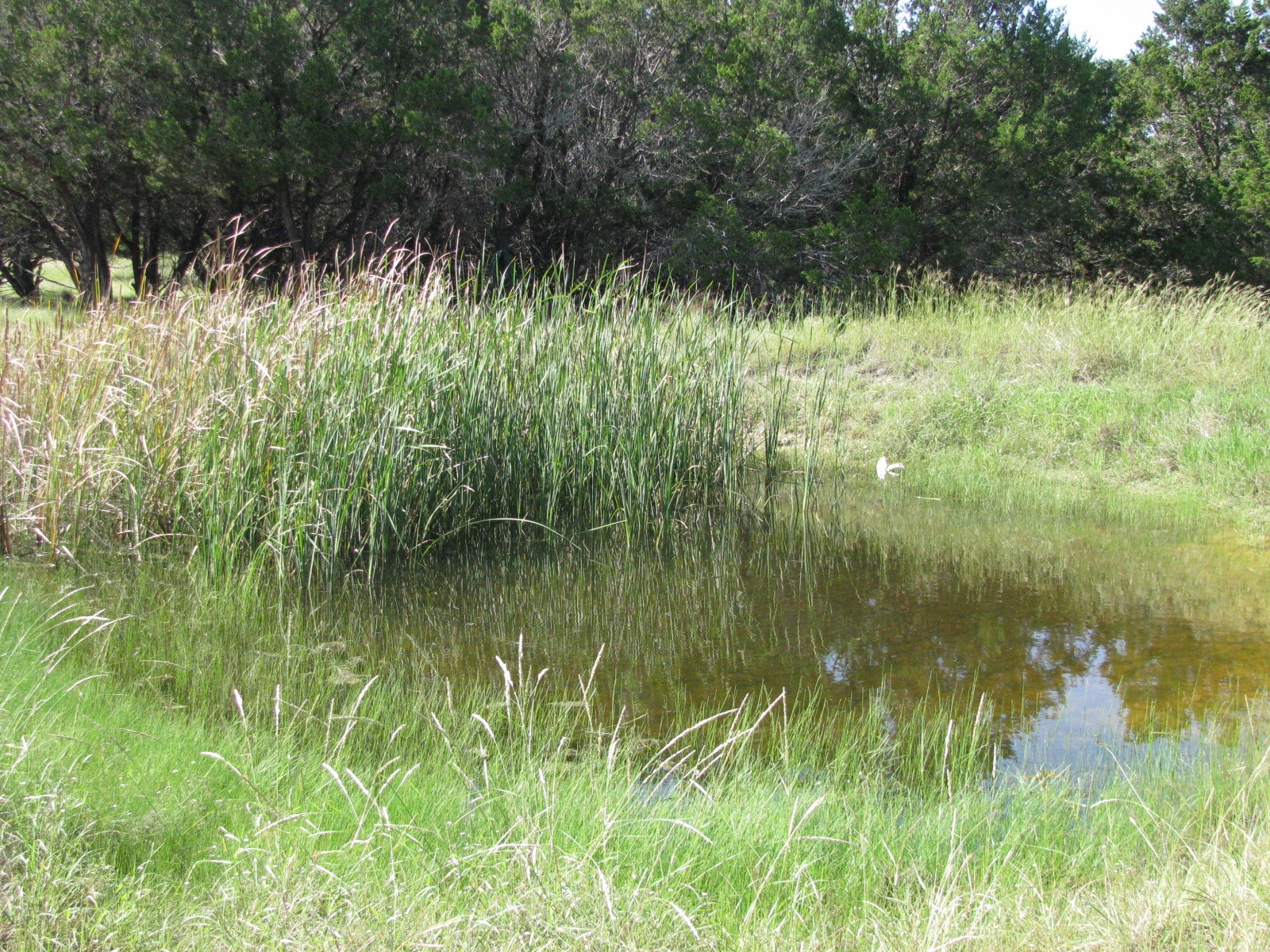 4463 County Road 158 Evant TX 76525