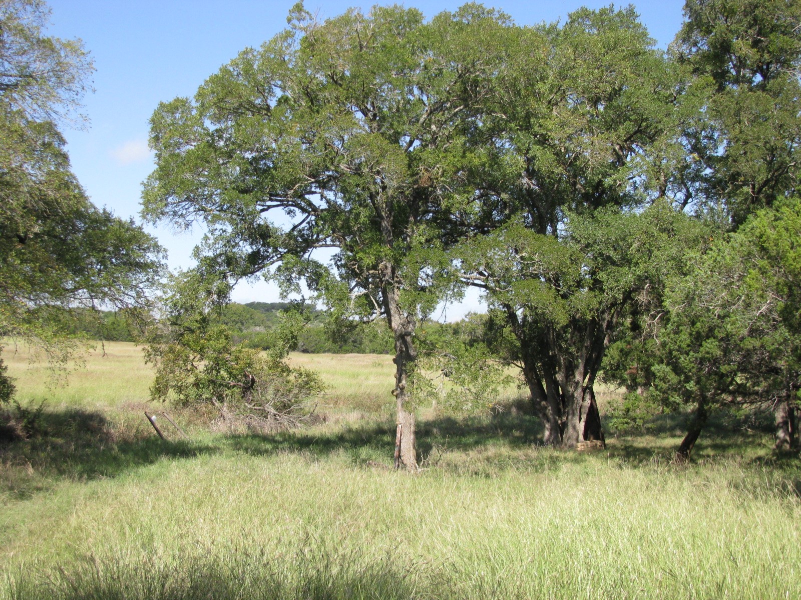 4463 County Road 158 Evant TX 76525