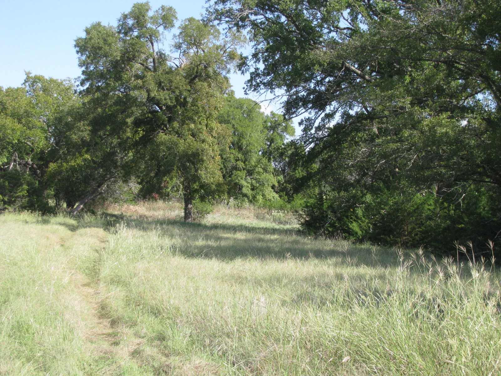 4463 County Road 158 Evant TX 76525