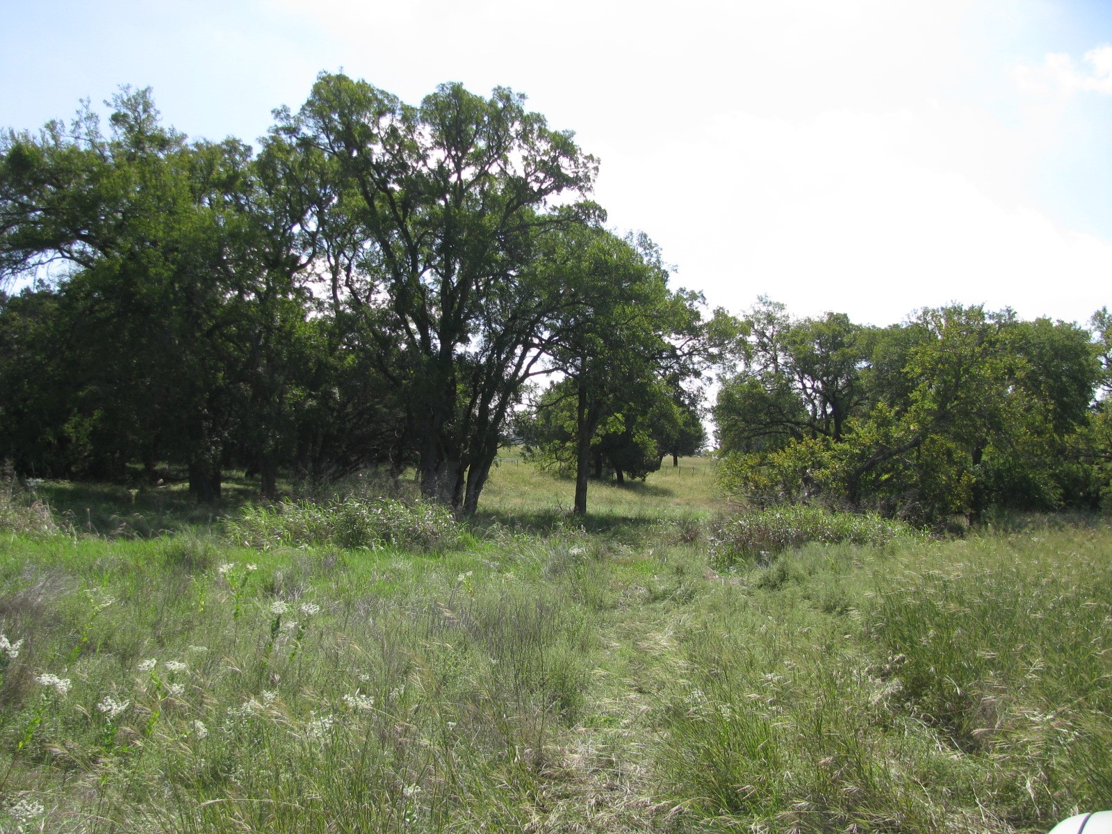 4463 County Road 158 Evant TX 76525