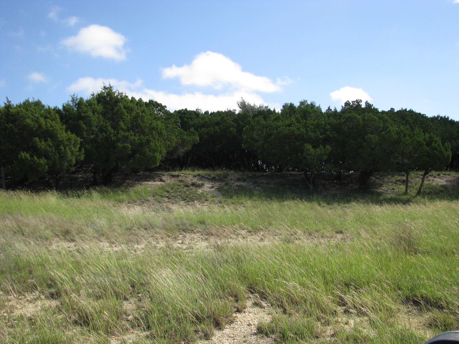 4463 County Road 158 Evant TX 76525
