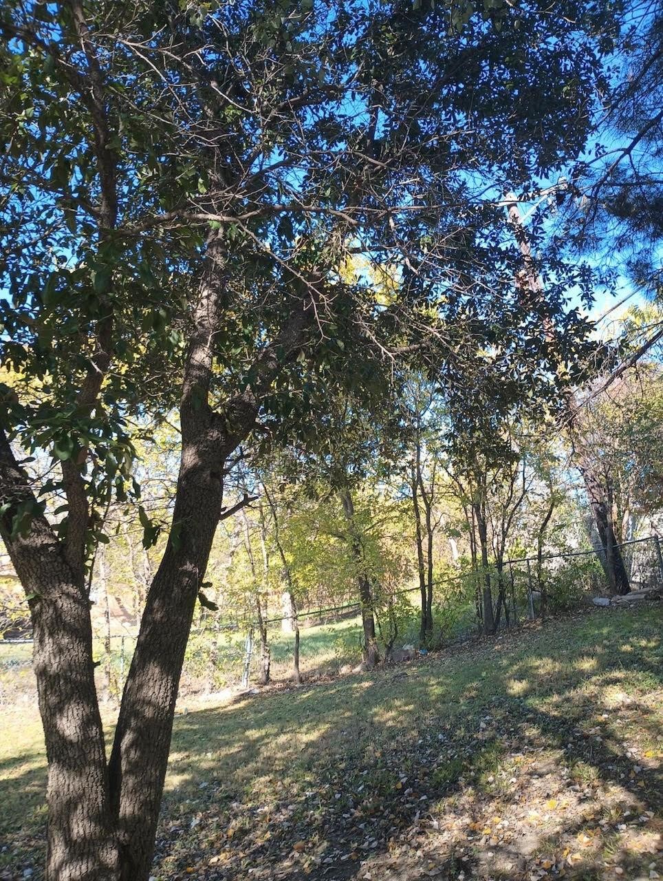 3517 Wicklow Court Fort Worth TX 76116