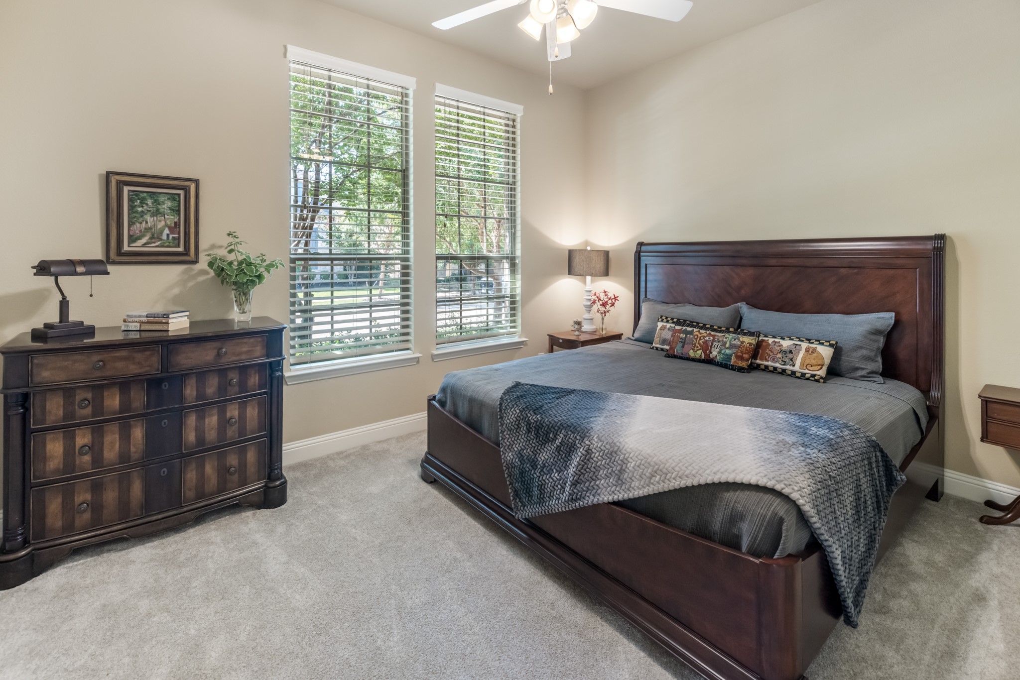 3805 Plum Vista Place Arlington TX 76005
