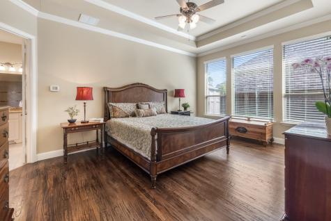 3805 Plum Vista Place Arlington TX 76005
