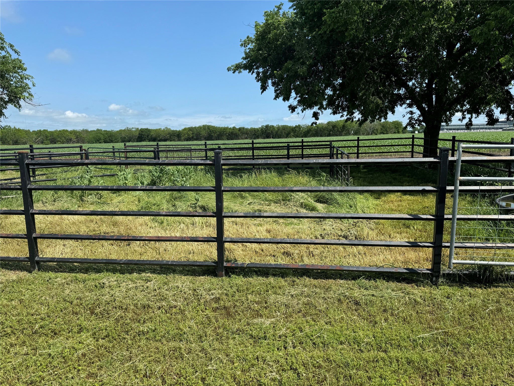 1273 Wall Street Road Gunter TX 75058