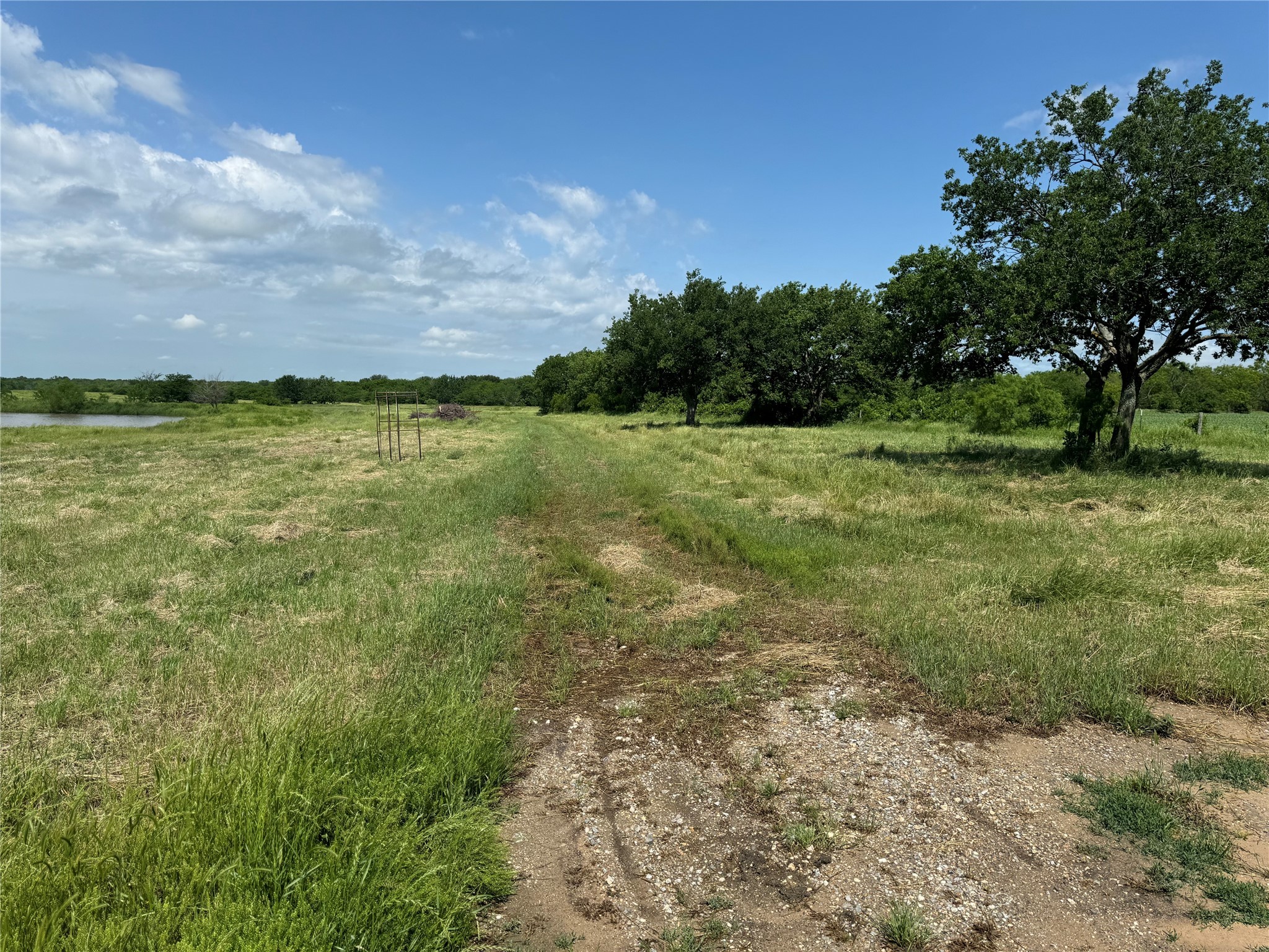 1273 Wall Street Road Gunter TX 75058