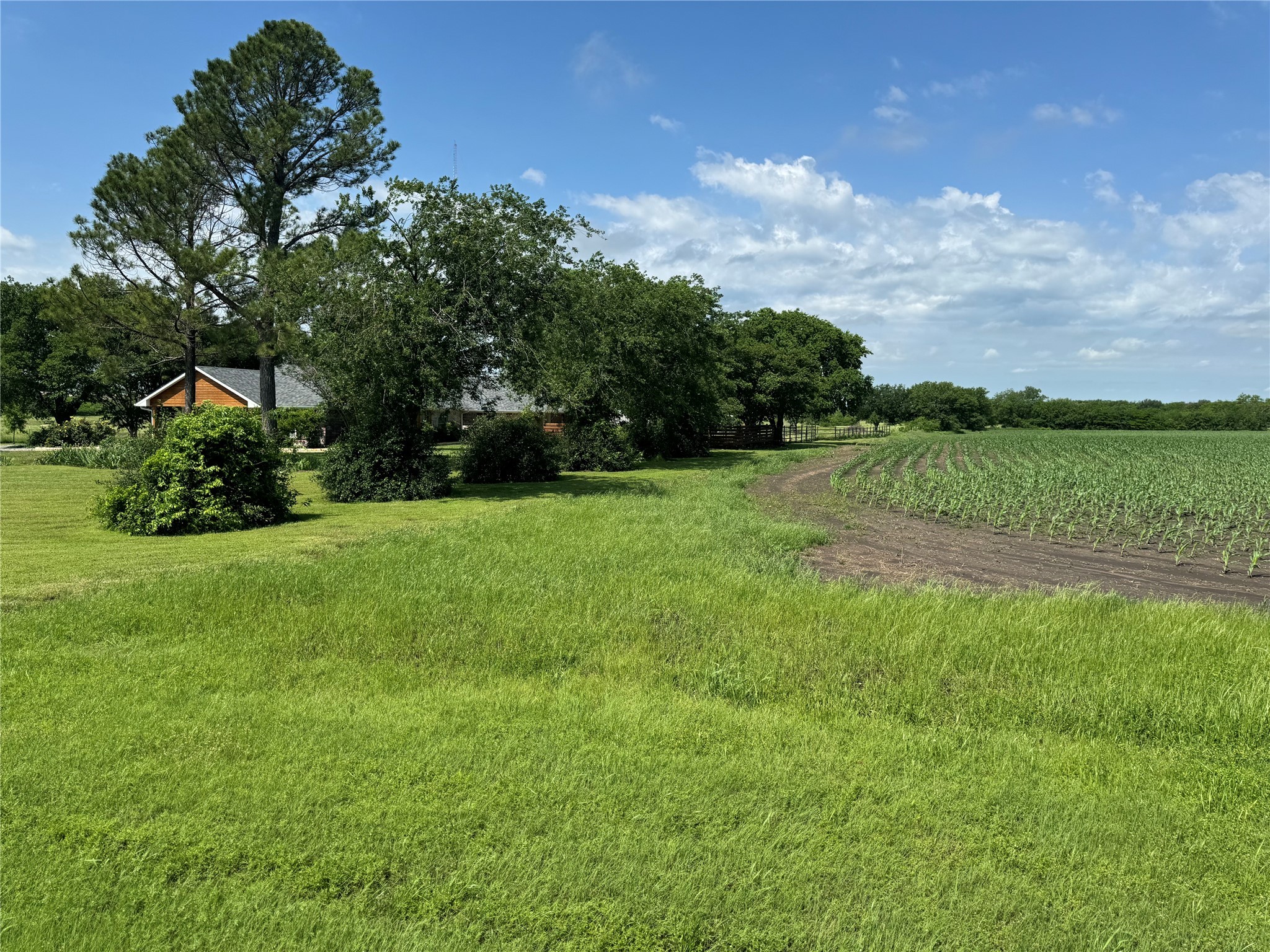 1273 Wall Street Road Gunter TX 75058