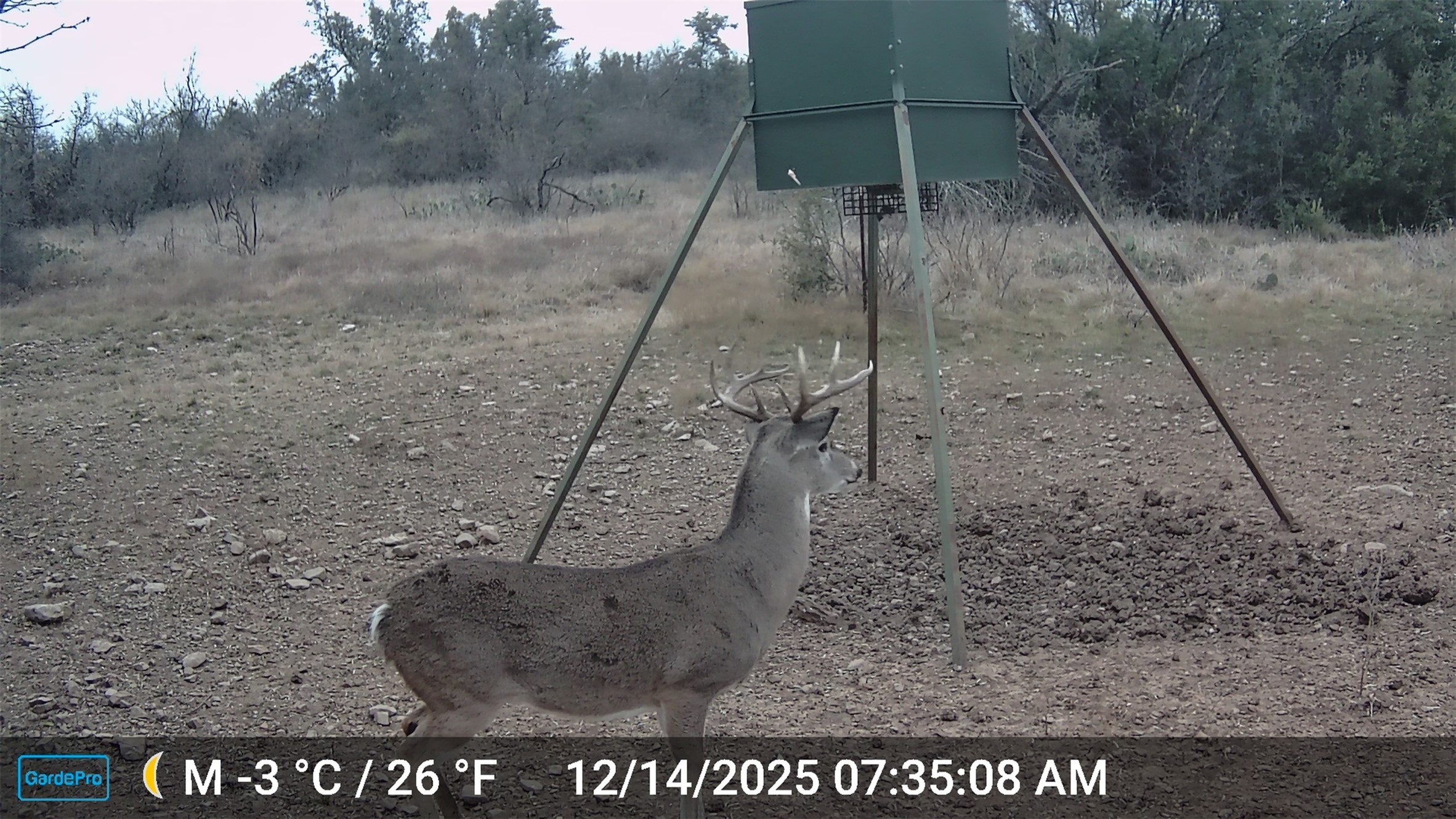 2117 Highway 6 Cisco TX 76437