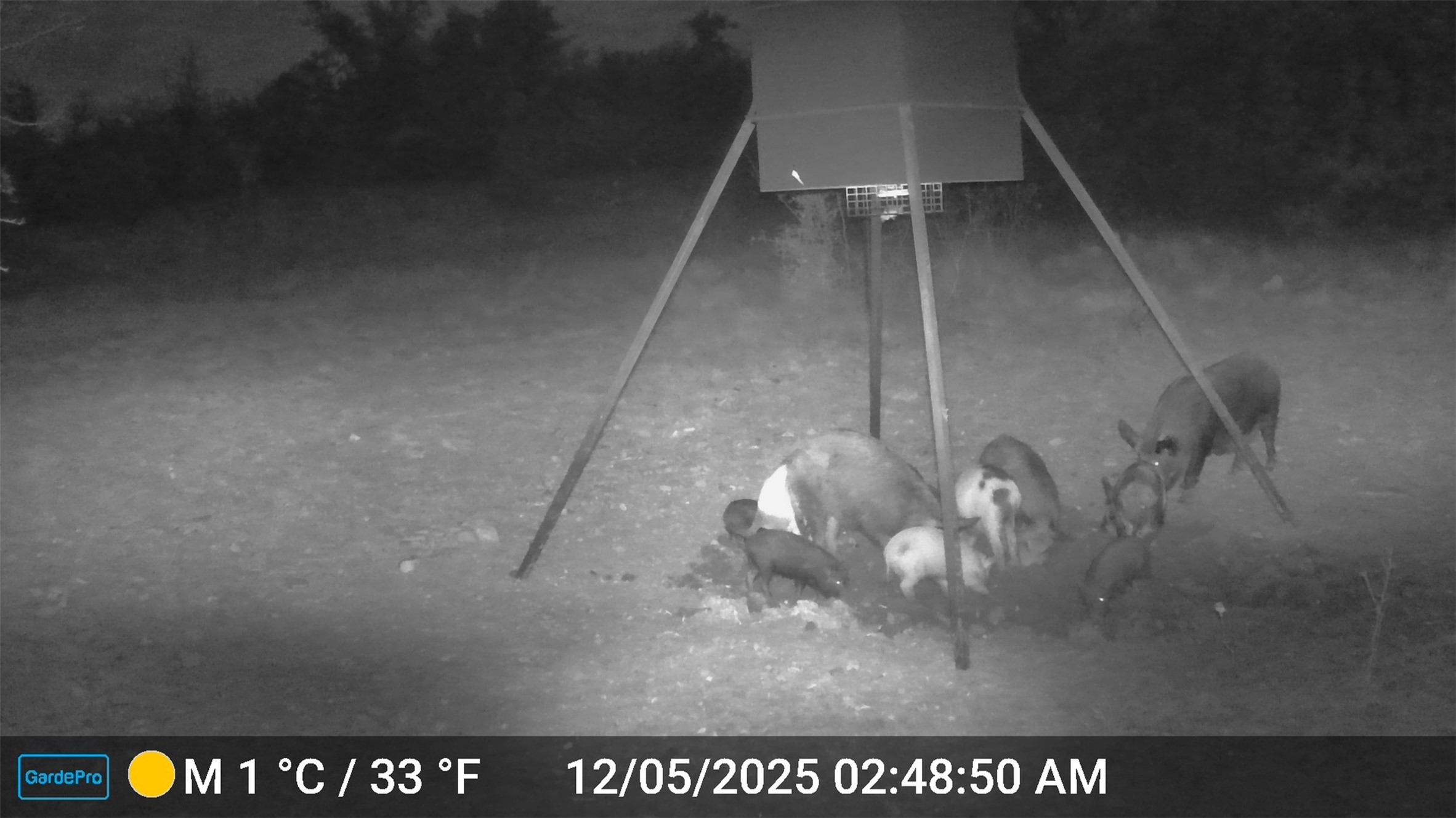 2117 Highway 6 Cisco TX 76437