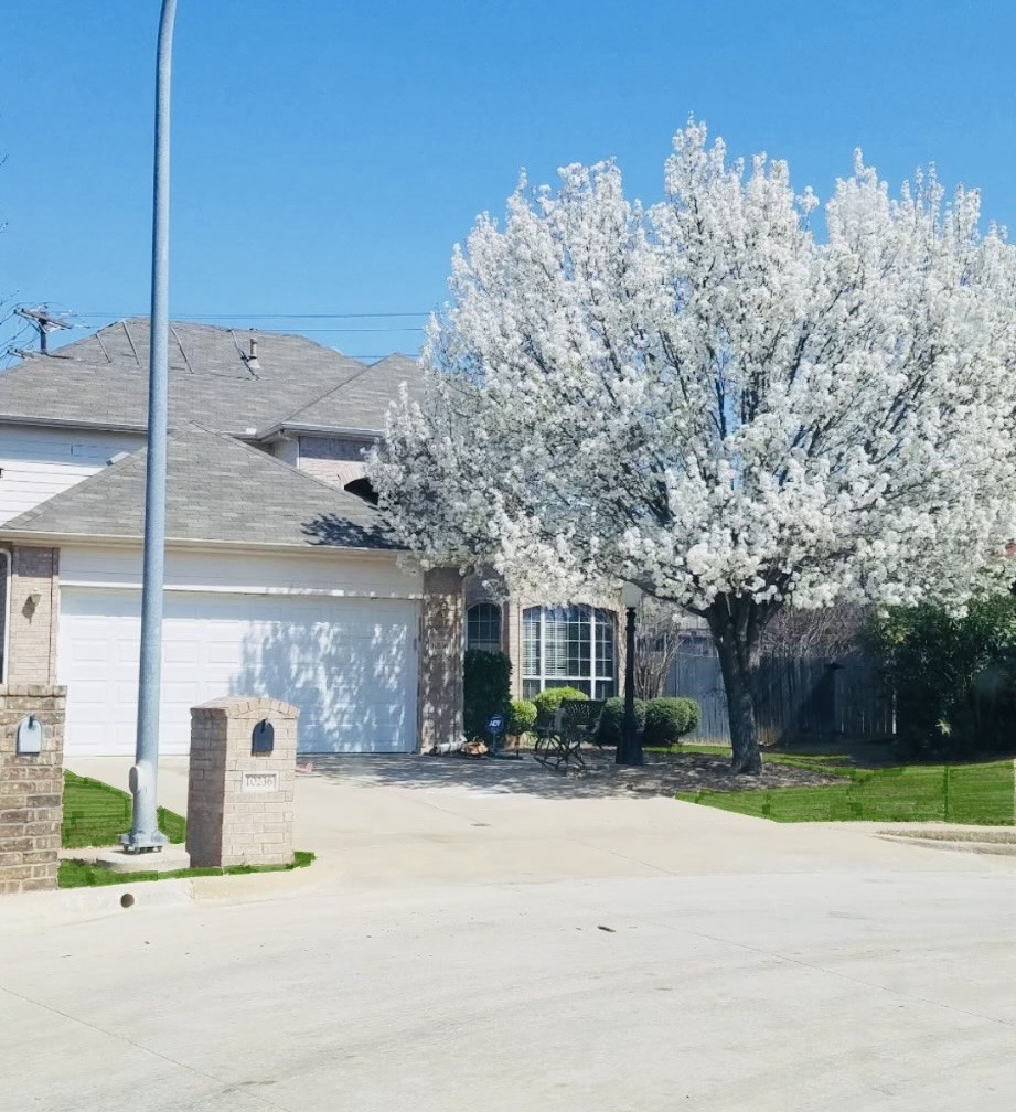 10236 Sourwood Drive Fort Worth TX 76244