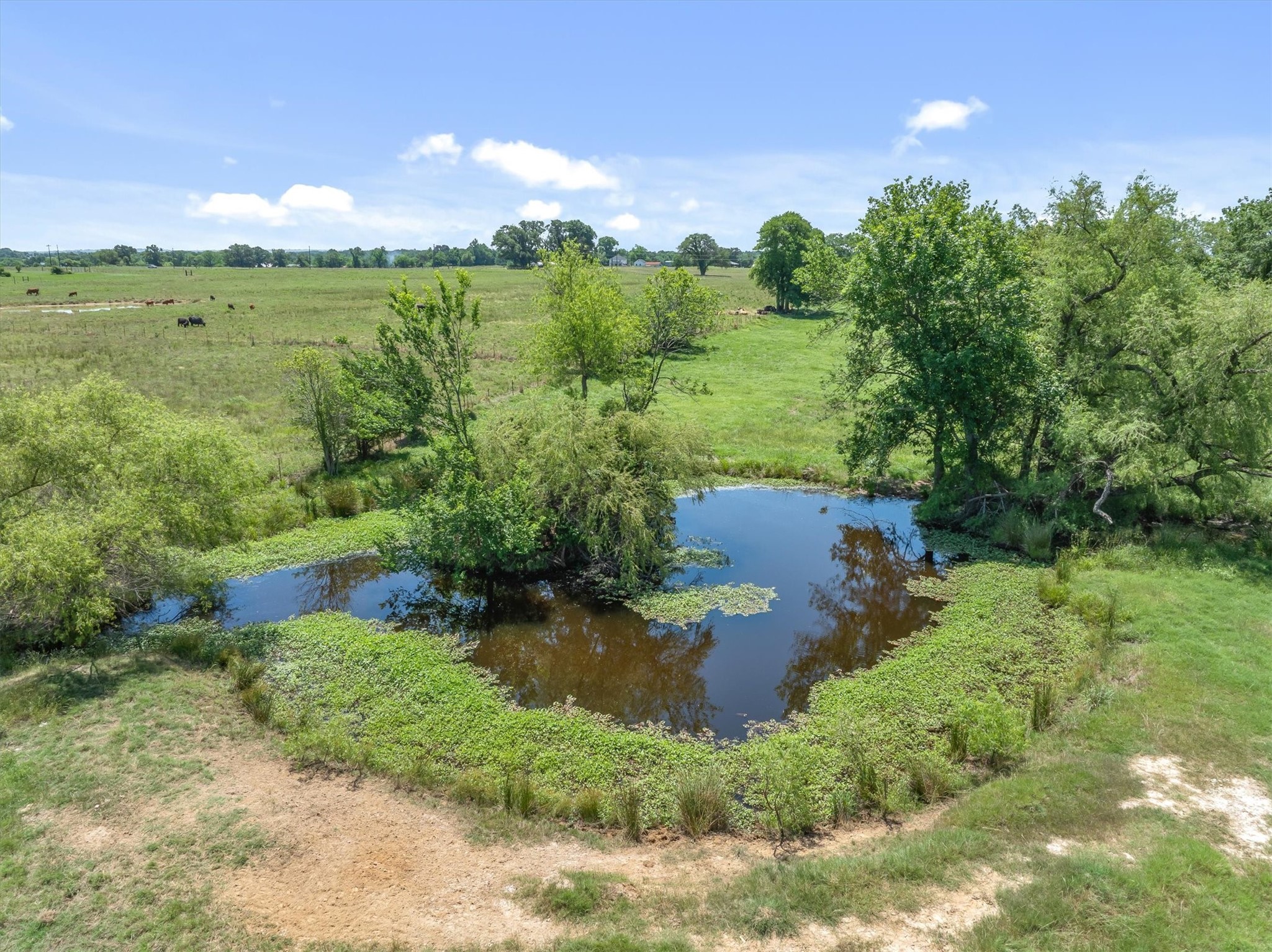 1026 Vz County Road 2115 Canton TX 75103