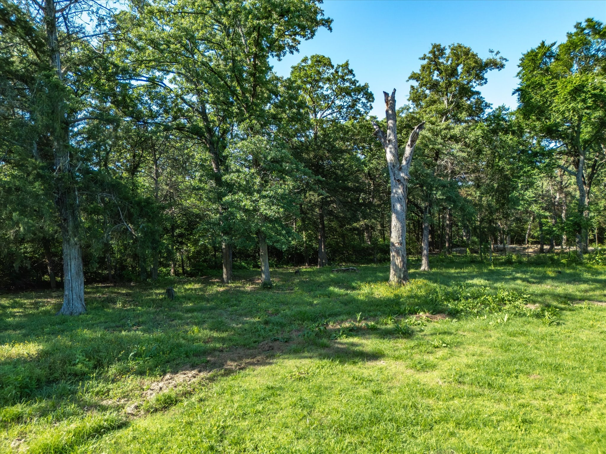 1605 Frann Drive Kaufman TX 75142