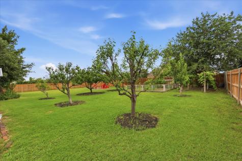 1316 Durango Springs Drive Fort Worth TX 76052