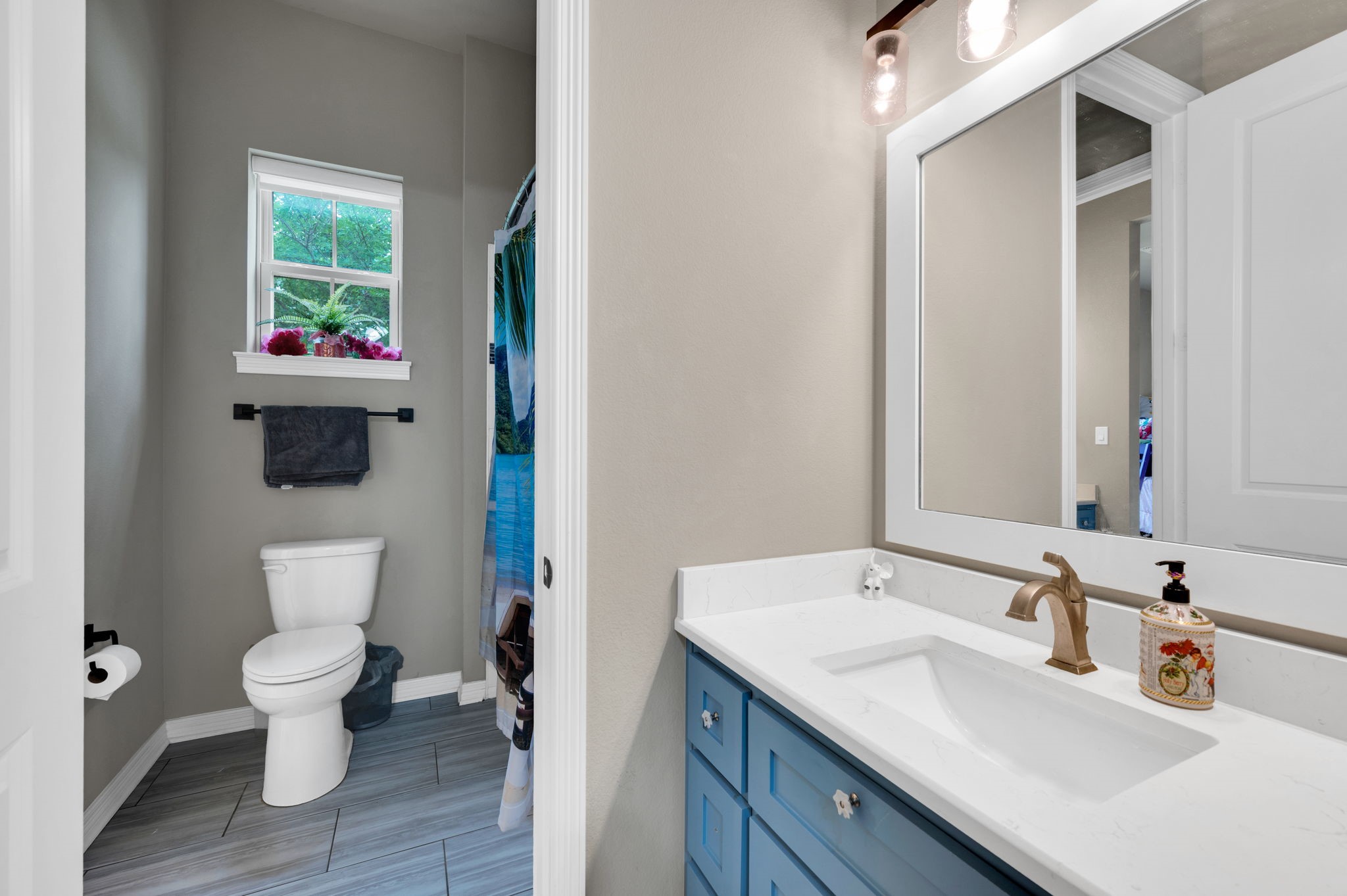 307 Terrace Lane Cedar Hill TX 75104