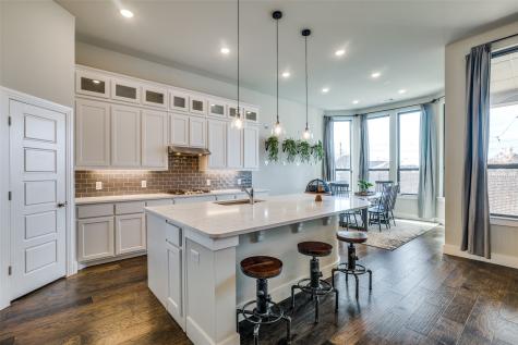 1328 Carancho Drive Little Elm TX 75068
