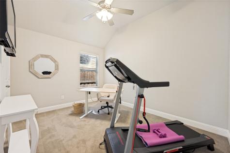 317 Lake Livingston Trail Mckinney TX 75071