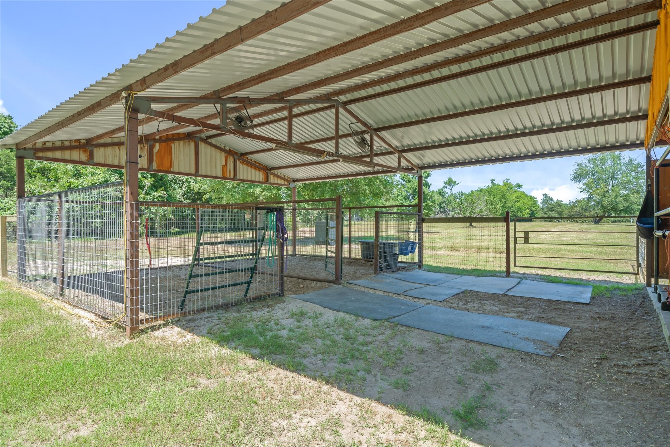 6663 Clearwater Ranch Road Wills Point TX 75169