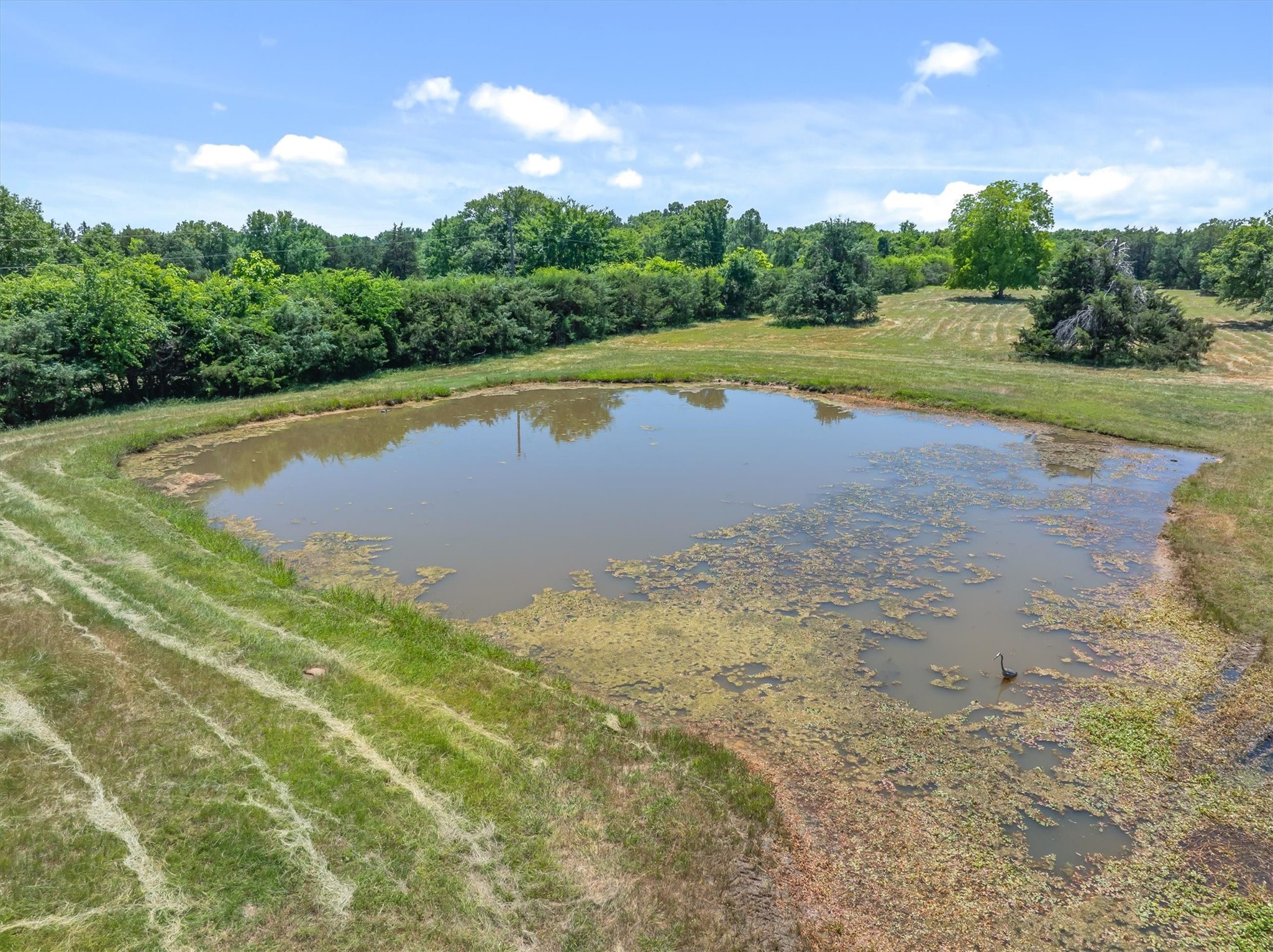 6663 Clearwater Ranch Road Wills Point TX 75169