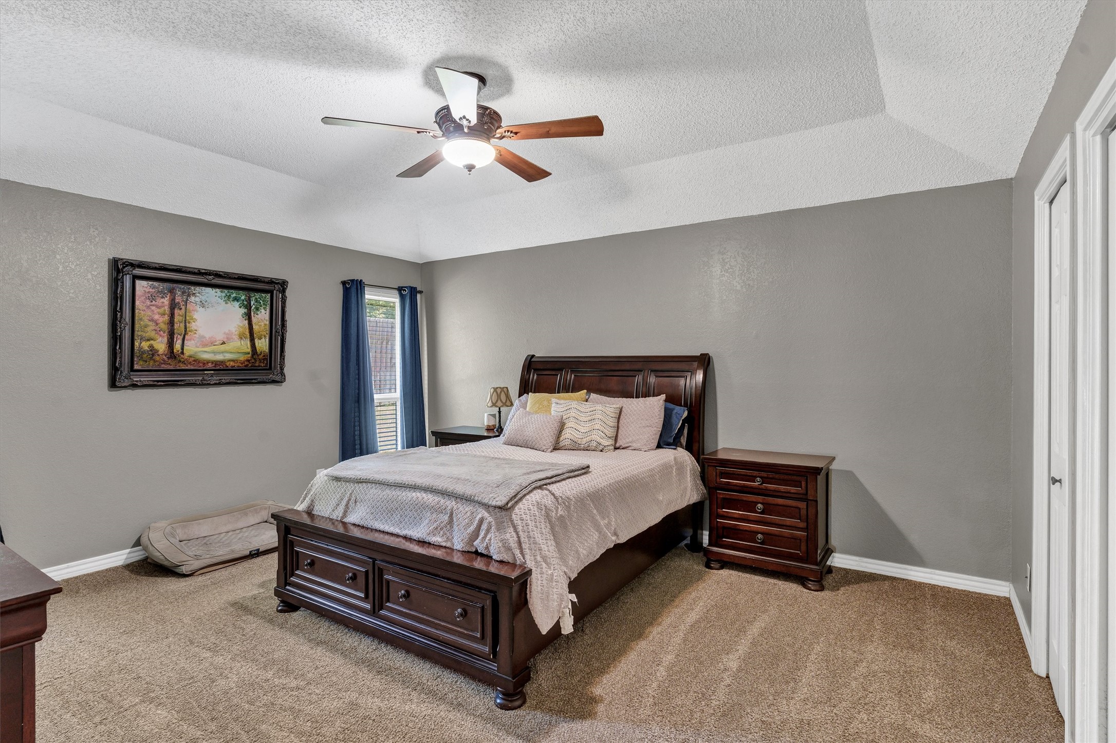4900 Del Rio Court De Cordova TX 76049
