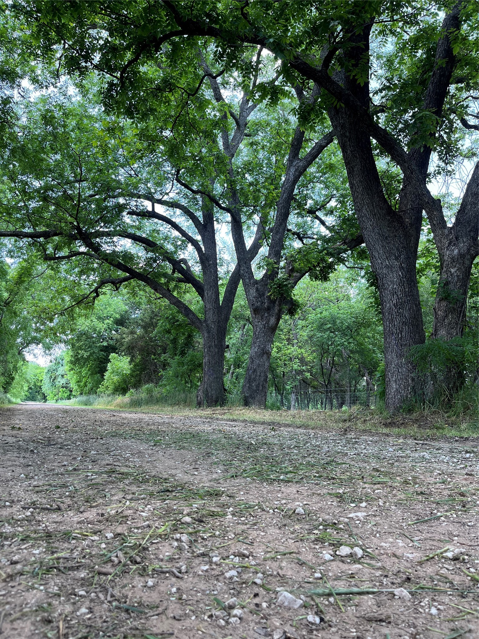 9439 County Road 103 Whitesboro TX 76273